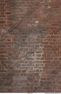 Photo Texture of Wall Bricks